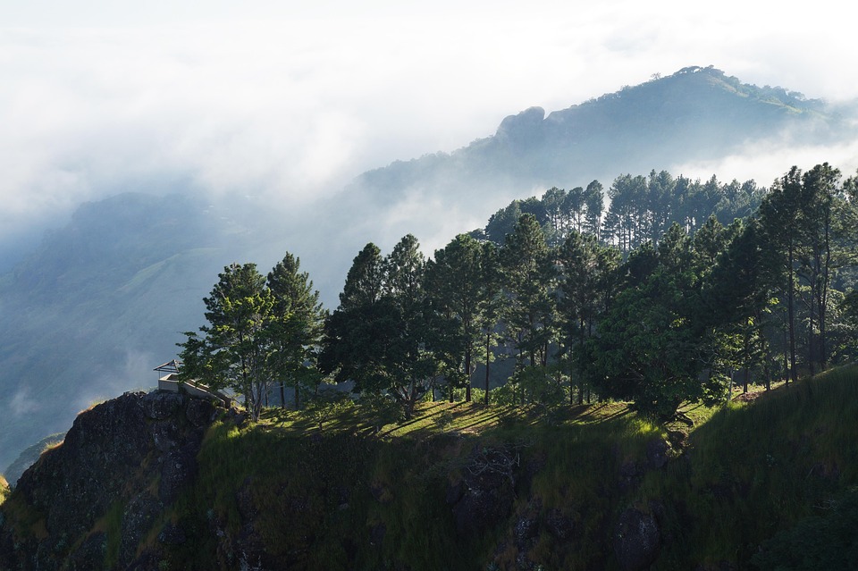 A Nature Lover’s Guide to El Salvador: Volcanoes, Rainforests, and Wildlife