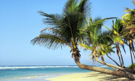 Authentic Cuba: Tips for Exploring its Vibrant History and Hidden Locales