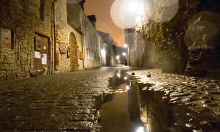 Charming and Unique: 8 Enchanting Places to Visit in Estonia