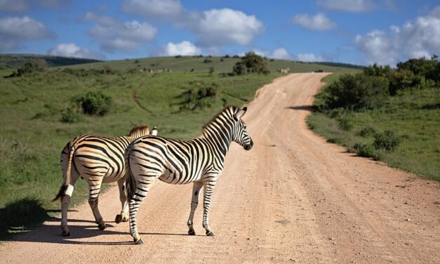 Cultural Adventures in South Africa: Meet the Rainbow Nation