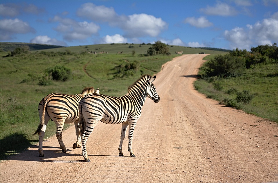 Cultural Adventures in South Africa: Meet the Rainbow Nation
