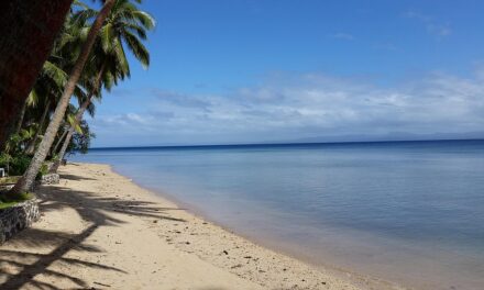 Diving Into Fiji: Explore Coral Reefs, Hidden Waterfalls, and Island Wonders