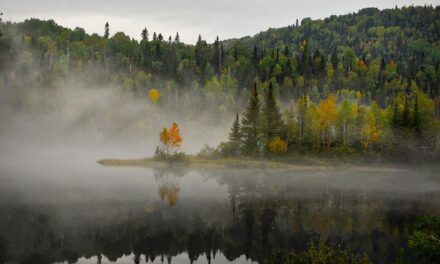 From Coast to Coast: Canada’s Most Unique Places to Visit Right Now