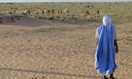 Journey Through Mauritania: Expert Tips for an Authentic Travel Experience