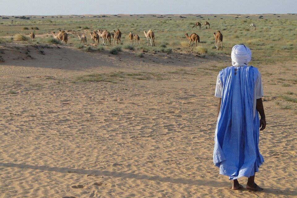 Journey Through Mauritania: Expert Tips for an Authentic Travel Experience