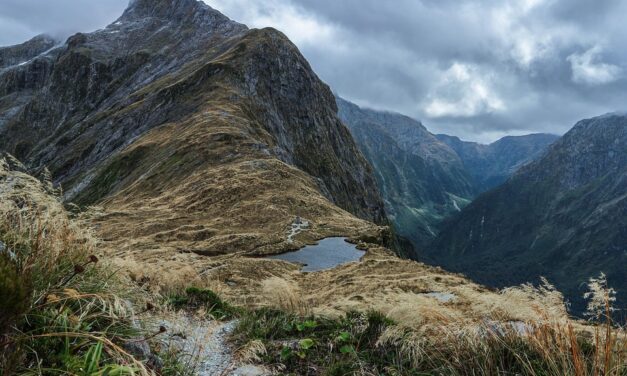 New Zealand Travel Secrets: Locals’ Recommendations for Authentic Adventures