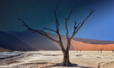 Off the Beaten Path in Namibia: Stunning Locations You Won’t Believe Exist