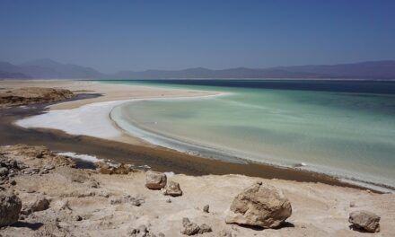 Plan Your Dream Getaway to Djibouti: Top Destinations and Pro Tips