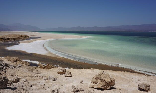 Plan Your Dream Getaway to Djibouti: Top Destinations and Pro Tips
