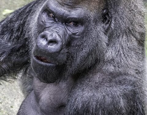 Rwanda’s Hidden Side: 10 Off-the-Beaten-Path Adventures You Can’t Miss