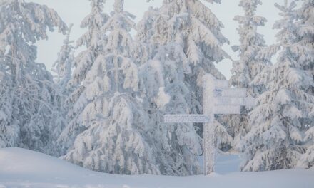 Travel Like a Local in Finland: Expert Tips for an Authentic Experience