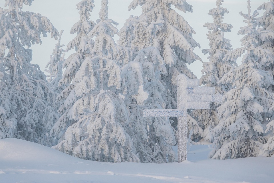 Travel Like a Local in Finland: Expert Tips for an Authentic Experience
