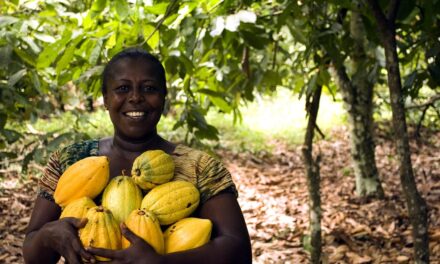 Untouched Beauty: Ghana’s Best-Kept Natural Wonders