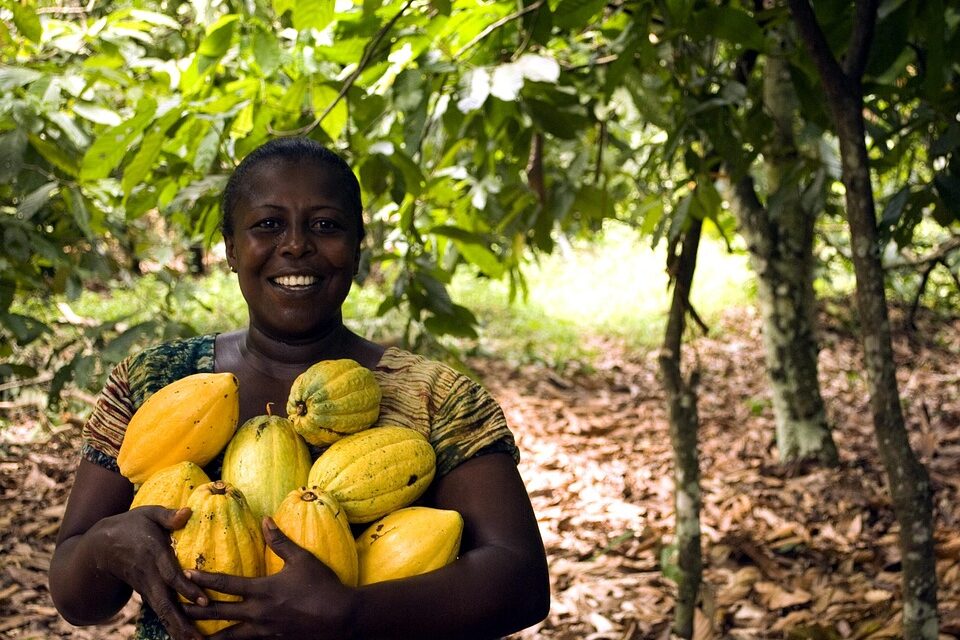 Untouched Beauty: Ghana’s Best-Kept Natural Wonders