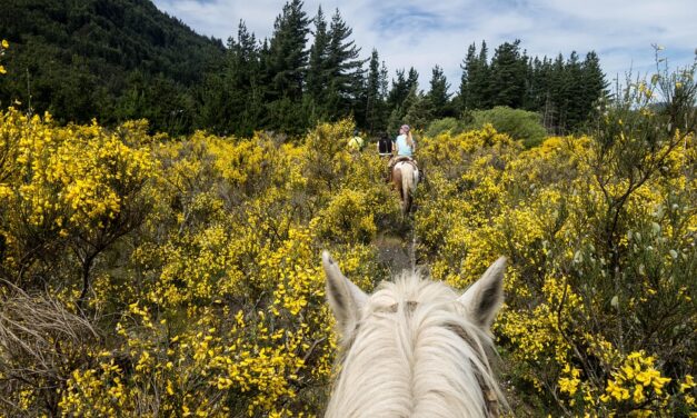 Where to Go in Argentina: Insider Secrets to Hidden Gems and Iconic Spots