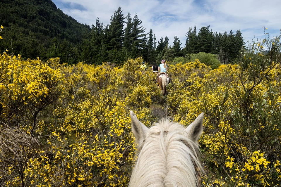 Where to Go in Argentina: Insider Secrets to Hidden Gems and Iconic Spots