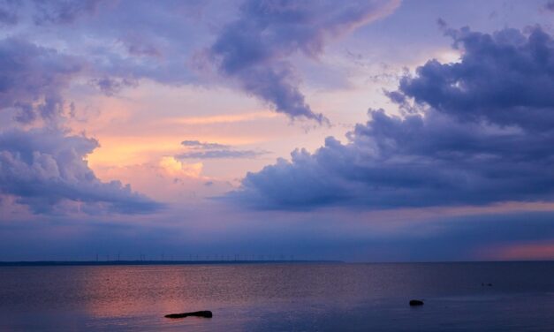 A Local’s Guide to the Untouched Beauty of Estonia