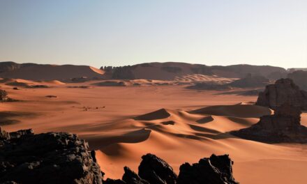 Algeria Travel Tips: How to Unlock the Secrets of North Africa’s Hidden Gem