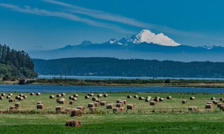 Bucket List Adventures in the United States: Destinations You Can’t Skip
