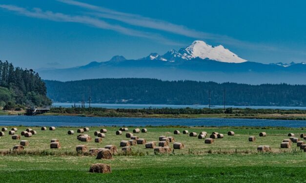 Bucket List Adventures in the United States: Destinations You Can’t Skip