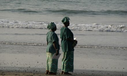 Experience the Magic of Gambia: Serene Beaches to Thrilling Safari Adventures
