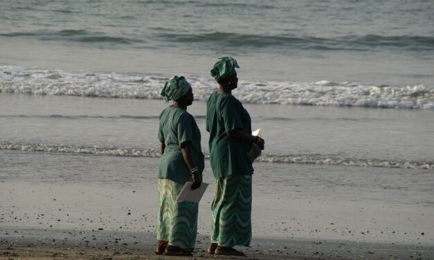 Experience the Magic of Gambia: Serene Beaches to Thrilling Safari Adventures