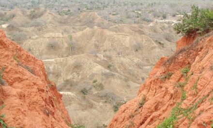 First-Time Visitor’s Guide to Angola: Travel Tips and Attractions