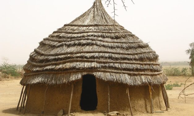 From the Aïr Mountains to W National Park: Niger’s Top Travel Experiences