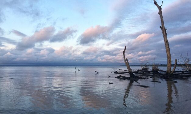 Gabon Travel Made Easy: Expert Tips for Exploring This Underrated African Jewel