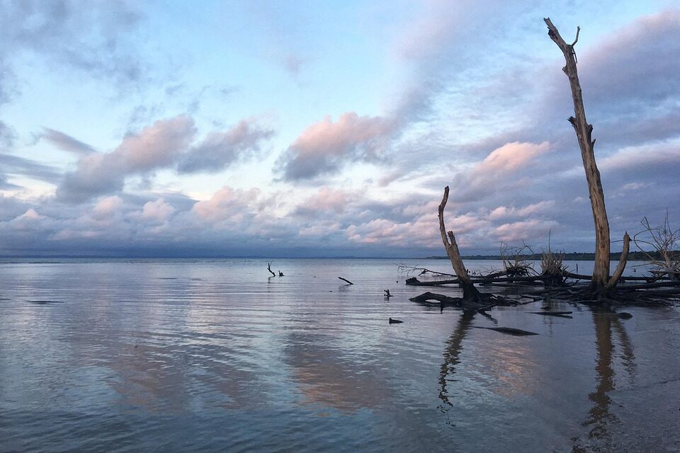 Gabon Travel Made Easy: Expert Tips for Exploring This Underrated African Jewel