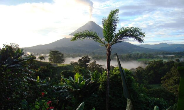 Insider Tips for Exploring Costa Rica’s National Parks Like a Pro
