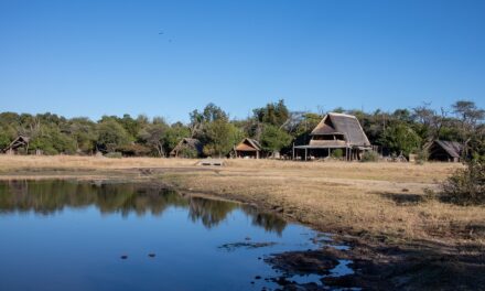 Off the Beaten Path in Zimbabwe: Unique Destinations You Can’t Miss