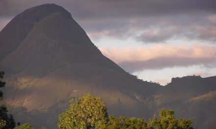 Snorkeling, Safari, and Sunsets: The Ultimate Adventure in Mozambique