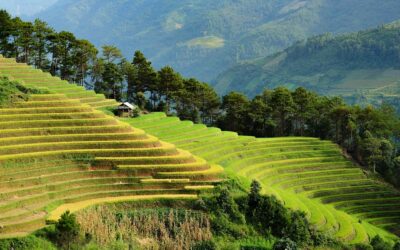 The Art of Traveling Cheap: Money-Saving Hacks and Cultural Experiences Every Traveler Should Know