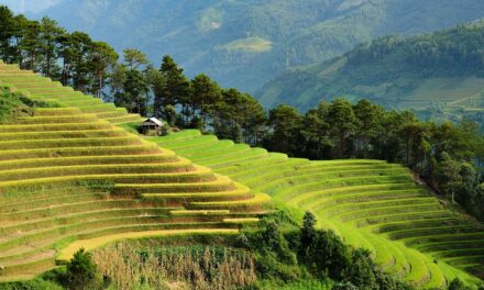 The Art of Traveling Cheap: Money-Saving Hacks and Cultural Experiences Every Traveler Should Know