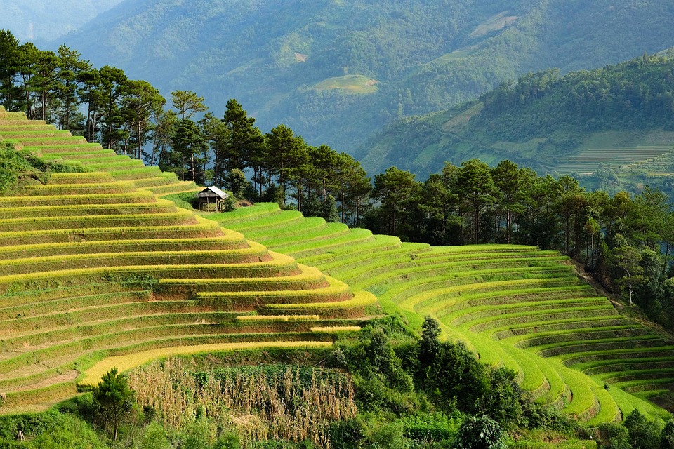 The Art of Traveling Cheap: Money-Saving Hacks and Cultural Experiences Every Traveler Should Know