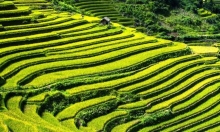 The Road Less Traveled: Hidden Villages and Scenic Routes in Vietnam