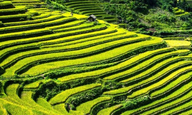 The Road Less Traveled: Hidden Villages and Scenic Routes in Vietnam