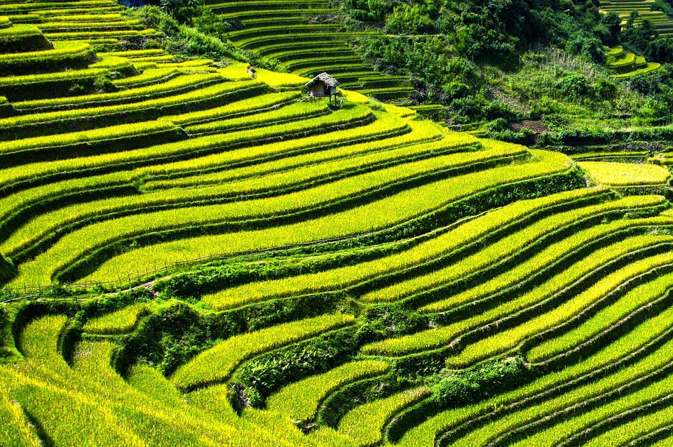 The Road Less Traveled: Hidden Villages and Scenic Routes in Vietnam