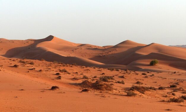 The Road Less Traveled in Oman: Where to Go and What to See Off the Beaten Path