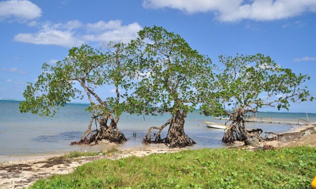 The Ultimate Honduras Travel Itinerary: From Lush Jungles to Pristine Beaches