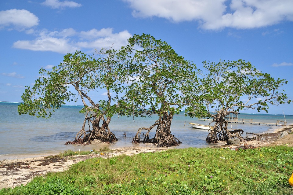 The Ultimate Honduras Travel Itinerary: From Lush Jungles to Pristine Beaches