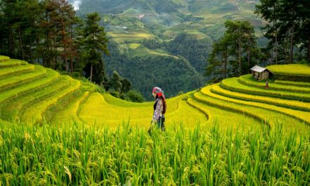 Trailblazing Women Explorers: Inspiring Biographies of Adventurers and Pioneers in Travel