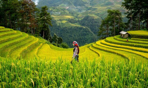 Trailblazing Women Explorers: Inspiring Biographies of Adventurers and Pioneers in Travel