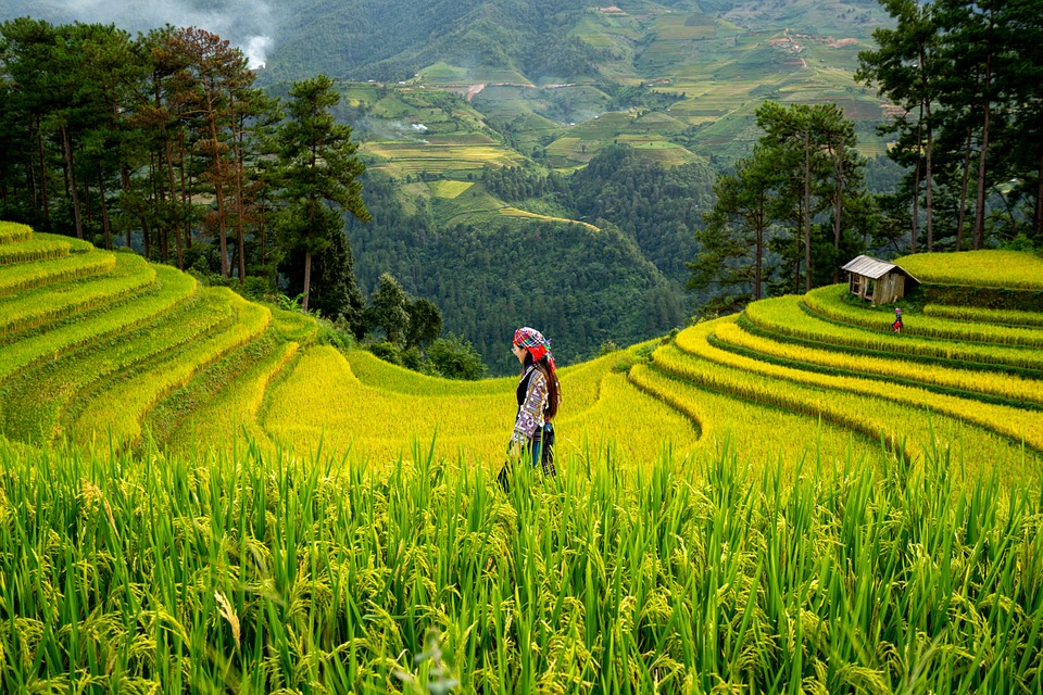 Trailblazing Women Explorers: Inspiring Biographies of Adventurers and Pioneers in Travel