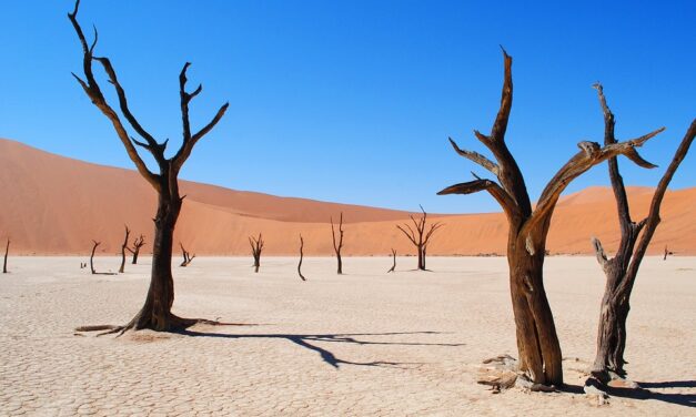 Ultimate Namibia Travel Tips: Where to Go, What to See, and How to Explore