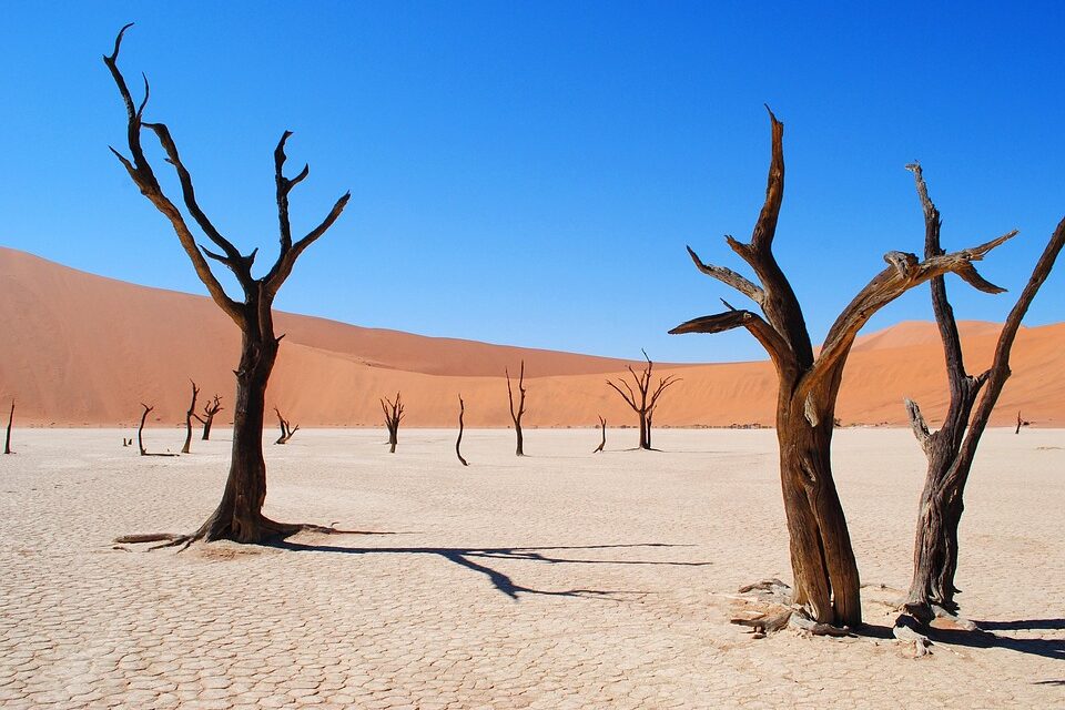 Ultimate Namibia Travel Tips: Where to Go, What to See, and How to Explore
