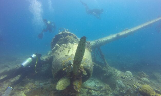Underwater Magic and Beyond: Palau’s Best Snorkeling and Diving Spots