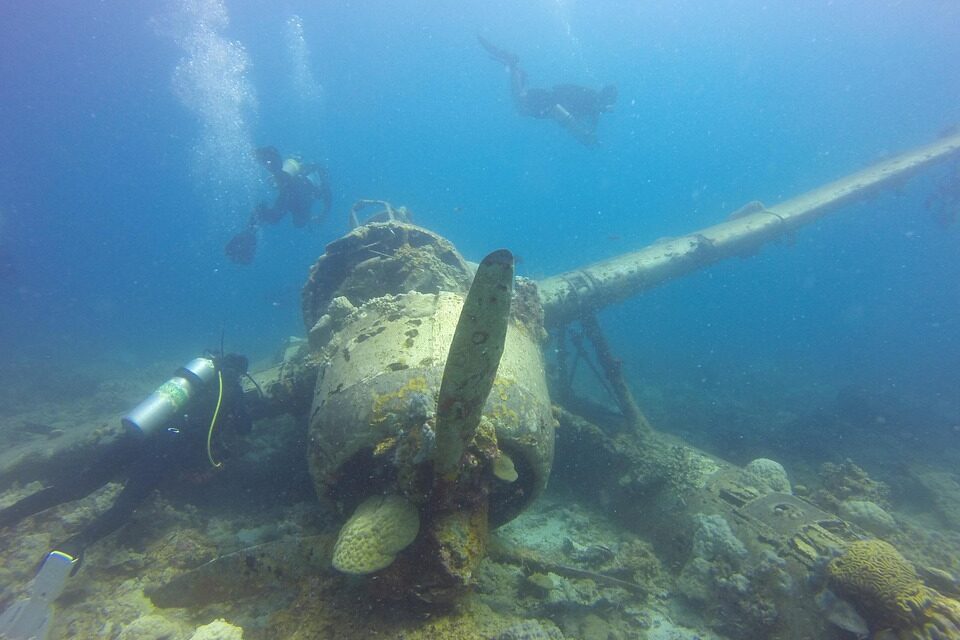 Underwater Magic and Beyond: Palau’s Best Snorkeling and Diving Spots