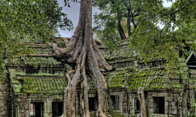 Why Cambodia Should Be Your Next Travel Destination: Hidden Gems and Tips